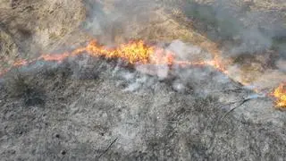 Duży pożar traw nad Wisłą