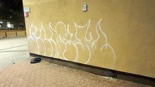 Strażnicy miejscy zatrzymali 24-latkę, która malowała graffiti na ścianie bloku