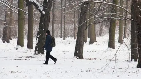 Pierwszy dzień kalendarzowej zimy mroźny i ze śniegiem