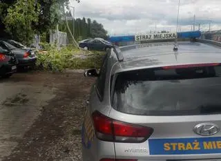 Strażnicy miejscy i strażacy interweniowali na Grochowie