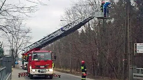 Wiatr łamie gałęzie. Utrudnienia na Lucerny