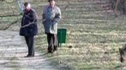 Osiedle pod Dębami: Naprawdę dzika przyroda