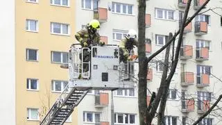 Strażacy interweniowali do powalonych drzew na Gruszczyńskiego 