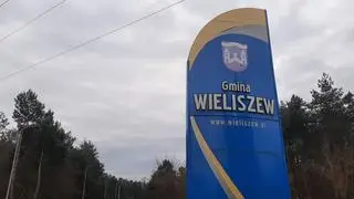 Zabezpieczenia w lesie w okolicach Wieliszewa