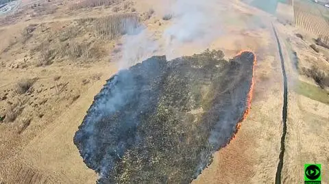 Dron "wypatrzył" pożar. Strażacy w akcji