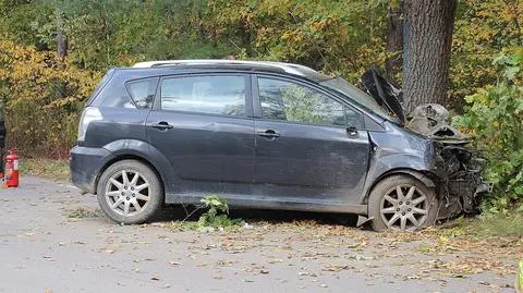 Podróżował z małym dzieckiem, wjechał w drzewo. Policja: był pijany