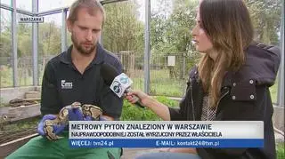 "Nie ma siły jadowej, ale potrafi ugryźć"