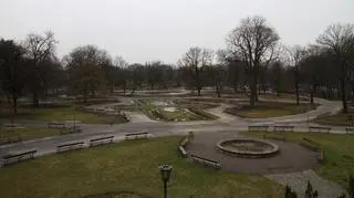 Widok z pałacu na park