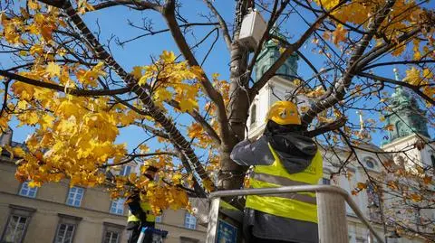 "Na ulicach miasta rozbłysną ozdoby w stylu retro"