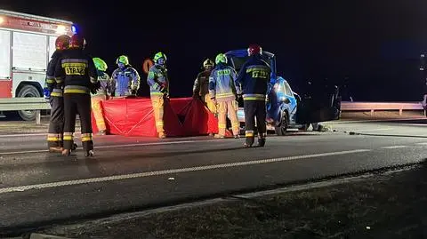 Psy wybiegły mu przed auto. Chciał je ominąć, uderzył w słup. Zginął