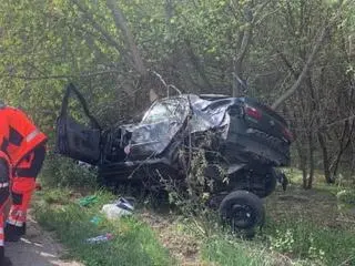 Samochód zatrzymał się na drzewie