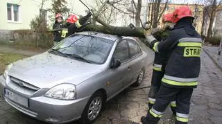 Złamane drzewo spadło na samochód marki Kia