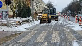 Wycięli lipową aleję w Pruszkowie