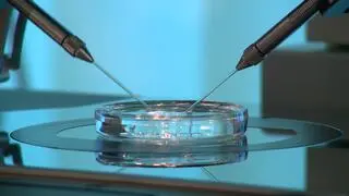 Poprzedni program in vitro kosztował 244 mln zł