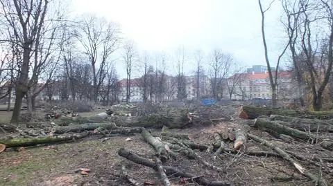 Urzędnicy odpowiadają aktorowi: "Zarzuty niepoparte żadną wiedzą"