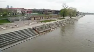 Wąż miał być widziany na bulwarach