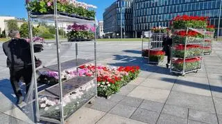 Protest rolników w Warszawie 