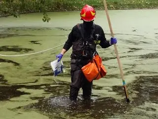 Akcja służb w parku Rydza-Śmigłego