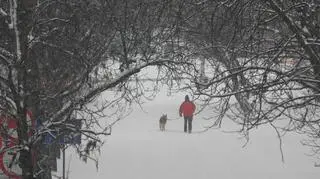 Wciąż pada śnieg