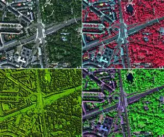 Ponad siedem milionów stołecznych drzew na jednej mapie