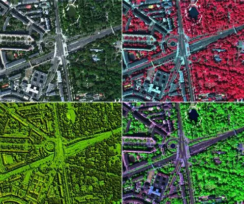 Ponad siedem milionów stołecznych drzew na jednej mapie