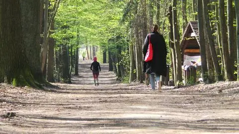 Las Kabacki po załagodzeniu obostrzeń