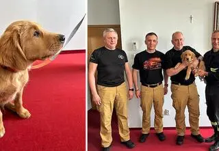 Nowy funkcjonariusz straży pożarnej. Przed nim jeszcze dużo nauki 