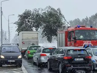 Nieprzejezdny jest jeden pas Patriotów 