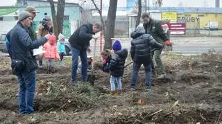 Akcja sadzenia drzew przy Lucerny