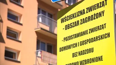 Przypadki wścieklizny w Warszawie. Zagrożone trzy dzielnice