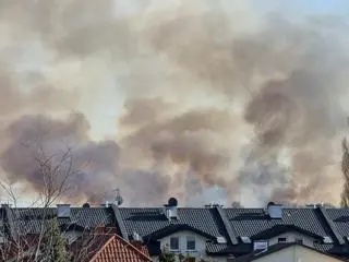 Pożar traw przy Wale Miedzeszyńskim