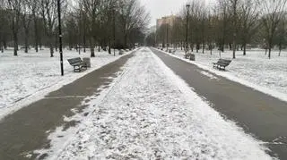 Park Bródnowski będzie modernizowany