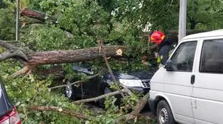 Drzewo spadło na samochody