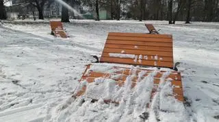 W Parku Powstańców Warszawy planowane są zmiany