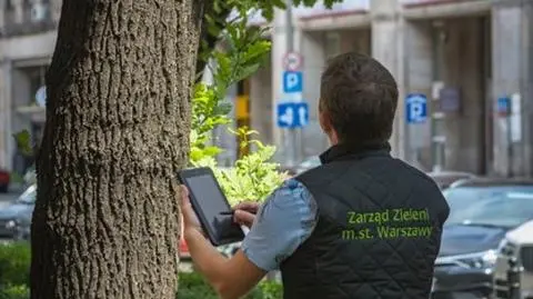 "Wszystkie drzewa, z wyjątkiem młodych czy rosnących w naturalnych zbiorowiskach, będą cyklicznie przeglądane"