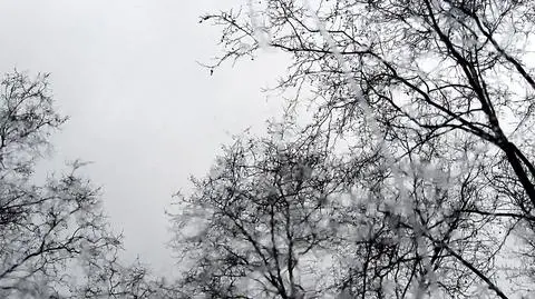 Wiatr i śnieg z deszczem Niż daje się we znaki
