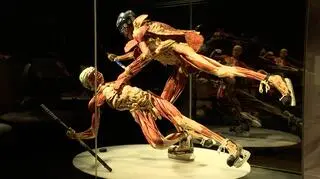 Wystawa "Body Worlds"