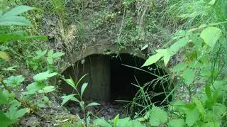 Siedemnaście schronów bojowych typu Ringstand 58c zabytkami