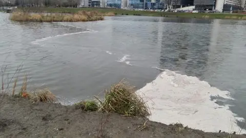Tajemnicza plama na powierzchni wody. "To substancja ropopochodna"