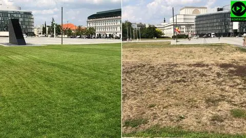 Przy pomniku smoleńskim zielona, przy Grobie Nieznanego Żołnierza wyschnięta