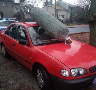 Przewoził choinkę na przedniej szybie auta