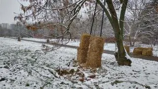 "Kopa Cwila gotowa na zimowe szaleństwo saneczkowe"