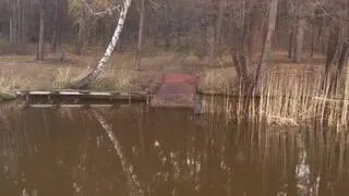 Lasy Państwowe odbierają nieruchomość nad Zalewem Zegrzyńskim