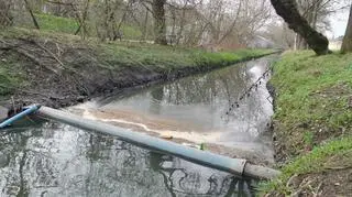 Kto zaśmieca Potok Służewiecki?