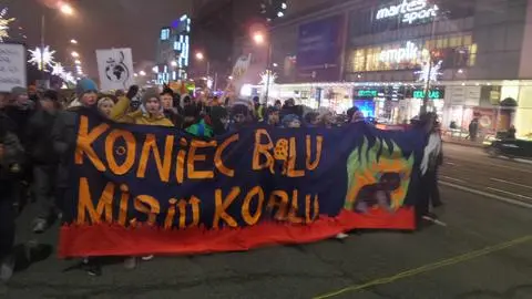 Protest klimatyczny w Śródmieściu