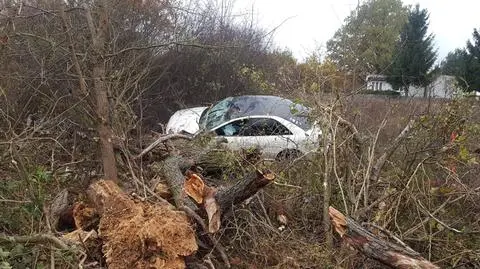 Samochód wjechał w drzewo. "Matka i dwoje dzieci w szpitalu"