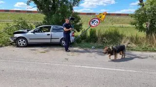 Na miejscu wypadku pracują policjanci z psem tropiącym