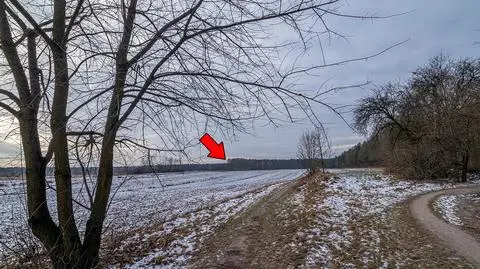 Ciało Jolanty Brzeskiej odnaleziono w Alei Brzóz 