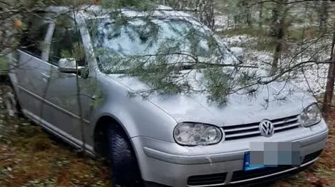 Kradzieże aut, włamanie. Bracia usłyszeli po siedem zarzutów