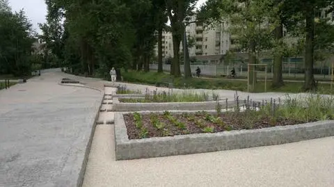 Skwer dla Ciechowskiego? "Wszystko na dobrej drodze" 